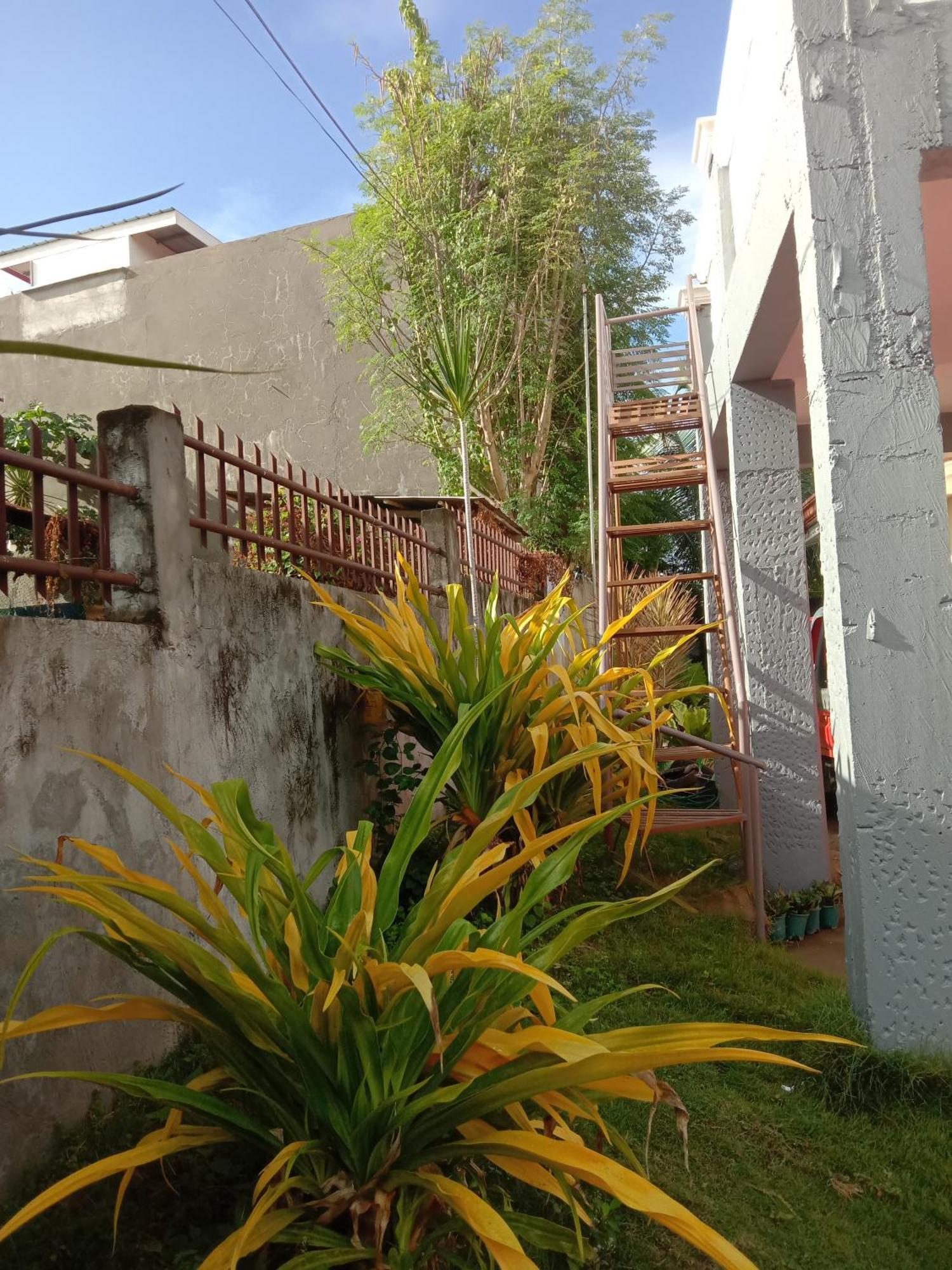 Friz Love Room Rental San Juan  Eksteriør billede
